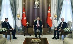 Cumhurbaşkanı Erdoğan, Uluslararası Demokratlar Birliği Genel Başkanı Aslan ile bir araya geldi
