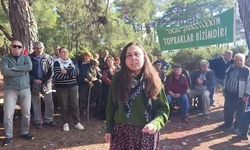 Danıştay'dan Akbelen kararı: 679 parseli acele kamulaştırılma kararı hukuka uygun