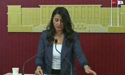 DEM Partili Ayan: 'Kadınların nafaka hakkına yönelik saldırıları kabul etmeyeceğiz'