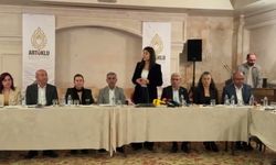 DEM Partili Beritan Güneş'ten fon krizi değerlendirmesi: 'Çok büyük bir vurgunla karşı karşıyayız'