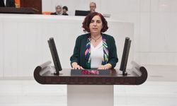 DEM Partili Çelenk, Cansu Badur'un durumunu Meclis'e taşıdı: Türkiye'ye neden getirilemiyor?
