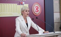 DEM Partili Koca, ANKA'nın İskenderun Devlet Hastanesi haberini TBMM gündemine taşıdı