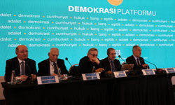 Demokrasi Platformu: 'Medya kuruluşlarının bağımsız yayıncılık faaliyetlerini engelleyen kayyım uygulamalarına son verilmeli'