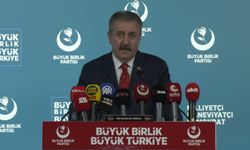 Destici: 'Doğu Türkistan Çin'in toprağı değildir; işgalle, zulümle, kanla, zorla el konulmuştur'
