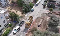 Didim'de Kaykay Parkı yapılıyor, ağaçlar korunuyor: İki ağaç başka bir alana taşındı