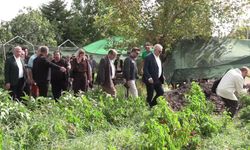 Edremit Belediyesi, ata tohumlarını geleceğe taşıyor: 137 çeşit koruma altında