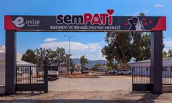 Efeler Belediyesi'nin 'Sempati' projesinde son aşamaya gelindi