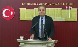 EMEP'li Bayhan: '371 televizyon kanalının hepsine el koysanız da gerçekleri karartamayacaksınız'