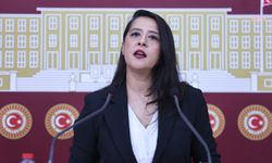 EMEP'li Karaca, Diyarbakır'daki GES projelerini TBMM gündemine taşıdı