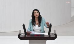 EMEP'li Karaca, 'İzmir'deki Eğitim Sen yöneticilerinin engellenmesi' iddiasını TBMM gündemine taşıdı