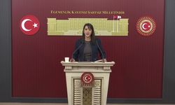 EMEP'li Sevda Karaca: Fon vurgununda hesap sorulması yetmez, bu düzen sorgulanmalı