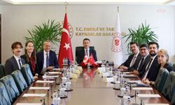 Enerji Bakanı Bayraktar, Kanada'nın Ankara Büyükelçisini kabul etti