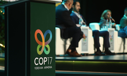 Ermenistan'daki COP17 Biyoçeşitlilik Zirvesi'nde hava kirliliğinin halk sağlığı ve biyoçeşitlilik üzerindeki etkileri ele alındı