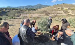 Eskişehir Büyükşehir Belediyesi'nden zeytin üreticilerine uygulamalı eğitim