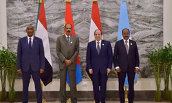 Etiyopya'da çatışmalar tırmanırken dört Afrika ülkesinden ortak çağrı