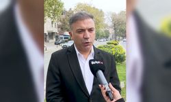 Eyüpsultan-Bayrampaşa Tramvayı'nda çalışmalar hızlandı: Güzergahtaki 168 ağaç yeni yerlerine taşınıyor
