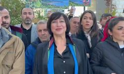 Fatsa'da maden ruhsatlarının iptali için açılan dava, Ankara 22. İdare Mahkemesi'nde görüldü
