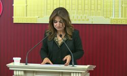 Gülistan Kılıç Koçyiğit: Dilde barış varsa bütçede de barış olmalıdır