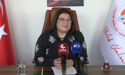 Hekim Birliği'nden kadın doğum uzmanlarının ultrason işlemleri için düzenleme çağrısı