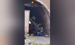 Hopa-Sarp sınır yolunda heyelan: Kopan ağaçlar araçların üzerine devrildi