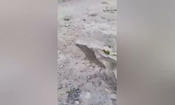 Hopa'daki yamaçtan düşen kayaların altında kalan bir kişi hayatını kaybetti