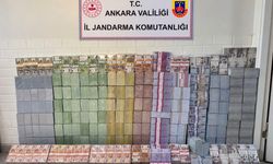 Kara Haydar soruşturmasında 1,5 milyar TL daha bulundu!
