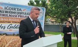 Iğdır'da üreticilere 40 ton sertifikalı buğday tohumu dağıtıldı