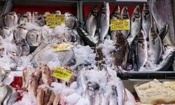 Türkiye’den balık ihracatında büyük artış