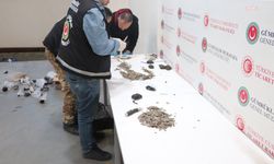 İpsala ve Kapıkule'de kültür varlıklarının yurt dışına kaçırılması önlendi