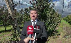 Isparta'da elma hasadı sürüyor: 'Market fiyatını çiftçinin görmesi mümkün değil'