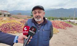 Isparta'da elma üreticisi tepkili: Geçen sene 12 liraya satılan elma şimdi 3 lira