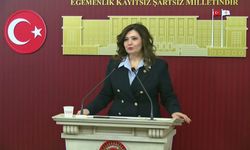 İYİ Partili Taşcı: 'Basın özgürlüğünün gasp edilmesinin Türkiye'nin yeni normali olmasını kanıksatmayacağız'