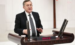 İYİ Partili Türkkan, Bulgaristan'dan emekli aylığı alan vatandaşların sorunlarını Meclis gündemine taşıdı