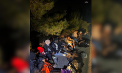 İzmir'de 16 düzensiz göçmen yakalandı