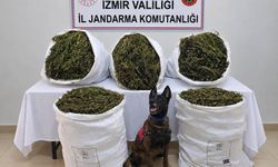 İzmir'de 54 kilo 800 gram uyuşturucu madde ele geçirildi, 3 şüpheli tutuklandı