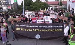 İzmir'de yaşam hakkı savunuculardan 'yeni yasa' çağrısı: 'Toplayan değil koruyan bir yasa istiyoruz'