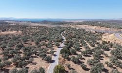 İzmir'in kuzeyinde yol atağı: 16 kilometrelik turizm yolunda sona doğru