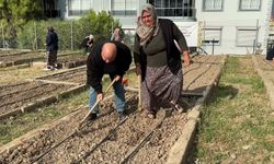 İzmir'in Mahalle Bostanlarında kış mesaisi: 276 kadın üretimde