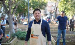 Kadıköy bostanlarında kış dönemi başladı