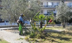 Kuşadası'nın yeşil dokusuna estetik dokunuş