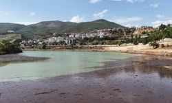 Munzur Nehri'nin yükselen suları baraj gölü kıyısında atık birikimine yol açtı