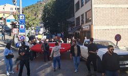 Murgul'da 'Siyanüre Hayır' yürüyüşü: 'Hanginiz çocuğunuzun saçının telini paraya değişirsiniz?'