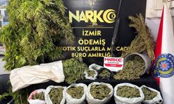 Ödemiş'te uyuşturucu operasyonunda 7,6 kilo esrar ele geçirildi