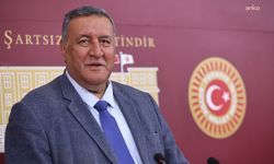 Ömer Fethi Gürer'in soru önergesine Yusuf Tekin'den yanıt: '26 bin 920 mevsimlik tarım işçisi çocuk var'