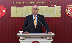 Önder Aksakal: ''Fon krizi' bir genel ekonomik kriz değildir, bir sermaye krizidir'