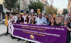 Rojin Kabaiş'in ölümünün 2. yılında baba Nizamettin Kabaiş'ten çağrı: 'Devletin katilleri ortaya çıkarmasını istiyoruz'