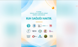 Ruh sağlığı alanında çalışan meslek örgütlerinden erişim engellerinin kaldırılması çağrısı
