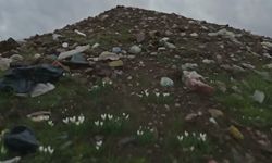 Saadet Partisi'nden AK Parti'nin İzmir videosuna 'Sürpriz Fonlu' videoyla yanıt