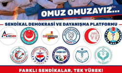 Sağlık ve sosyal hizmetler alanındaki 11 sendika 'Sendikal Demokrasi ve Dayanışma Platformu'nu kurdu