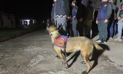 Şanlıurfa'da uyuşturucu madde satıcılarına yönelik operasyonlarda yakalanan 29 şüpheli tutuklandı
